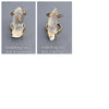 Lemurian crystal point ring