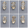 Lemurian crystal point ring
