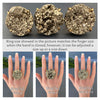 Cocktail large pyrite disk ring