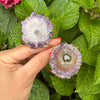 Amethyst stalactite cuff bracelet