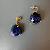 Sodalite hexagon drop earrings
