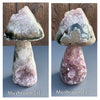 Small druzy amethyst mushroom