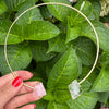Rose & crystal quartz freeform choker